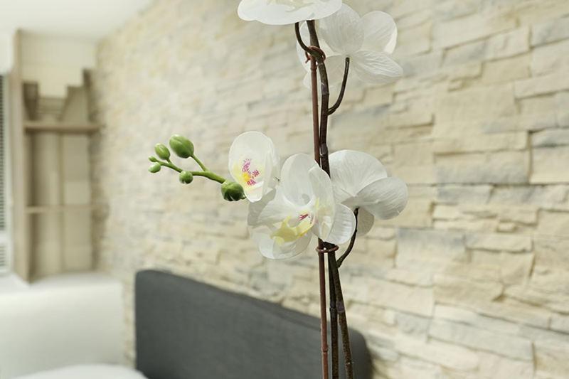 Studio Le Marais By Studio Prestige ปารีส ภายนอก รูปภาพ